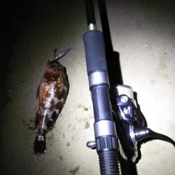 スーパーライトも楽しいかも……