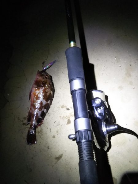 スーパーライトも楽しいかも……