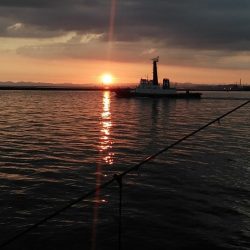 16時から僅かなアタリを楽しみました