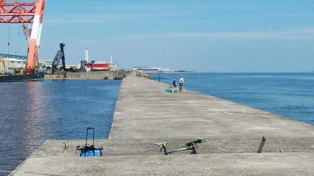 良型キスが消えた播磨新島