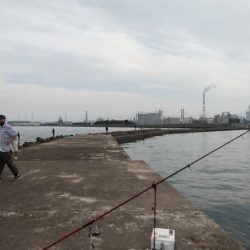 高砂港へキス調査Ⅱ