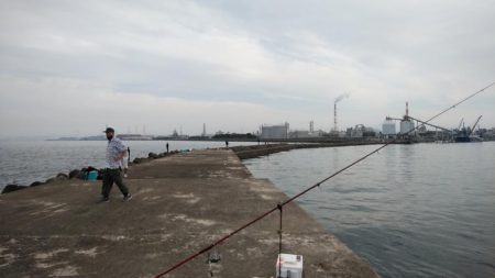 高砂港へキス調査Ⅱ