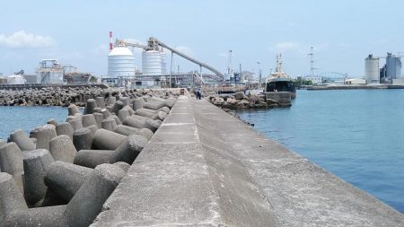 高砂港もピンギスモードか!