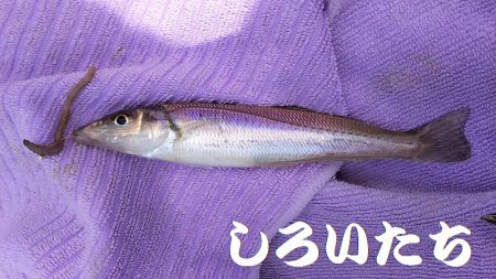 昼間っからのキス狙い。