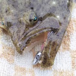 今日も、メバリングでしたが・・・