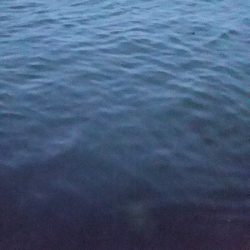 ガシリングになってしもたぁ～。