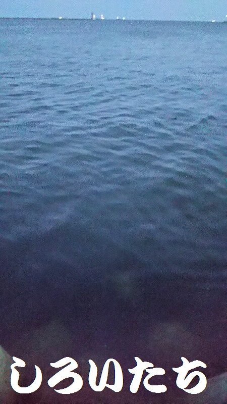 ガシリングになってしもたぁ～。