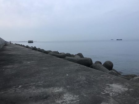 チヌ狙いに外道のカンダイ