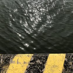 ヘチ釣りプラクティス