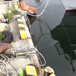 サビキ釣りアジ好調