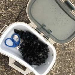 落とし込み　スライダー