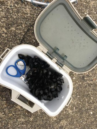 落とし込み　スライダー