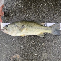 ジョインテットクローな生活。