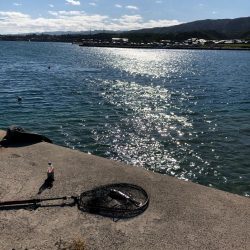 エギングタックル ジグヘッド&ワームで