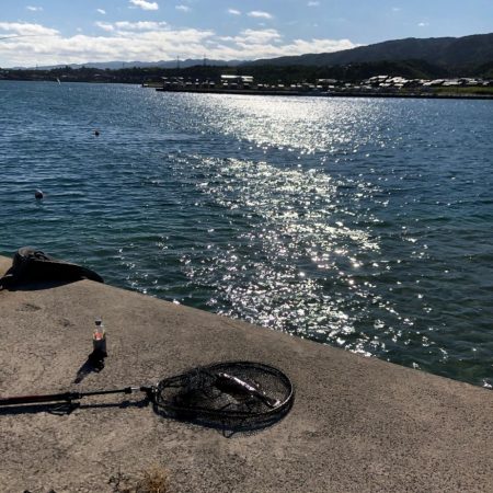 エギングタックル ジグヘッド&ワームで