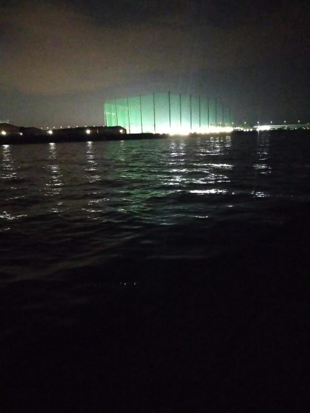 始めてのボラの洗礼