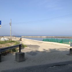 アオリ狙うもコウイカばかり