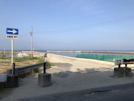 アオリ狙うもコウイカばかり