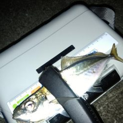 自粛解除を受けて