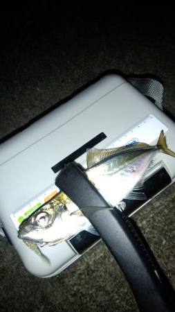 自粛解除を受けて