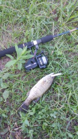 スモールマウスバスプチラシュ