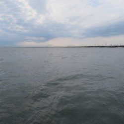 人生初マゴチはなかなかのサイズ!