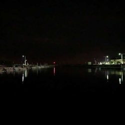 梅雨メバルを狙って