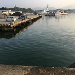 アジ11匹、ツバス1匹、コサバ約200匹