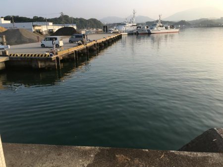 アジ11匹、ツバス1匹、コサバ約200匹