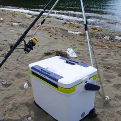 梅雨の中休みのキス釣り