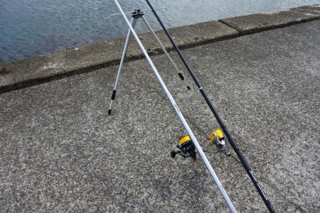 梅雨のキス釣り 小型が多い