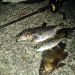 フロートゲーム