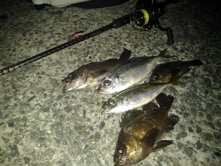 フロートゲーム