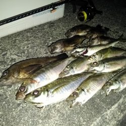 フロートゲーム～