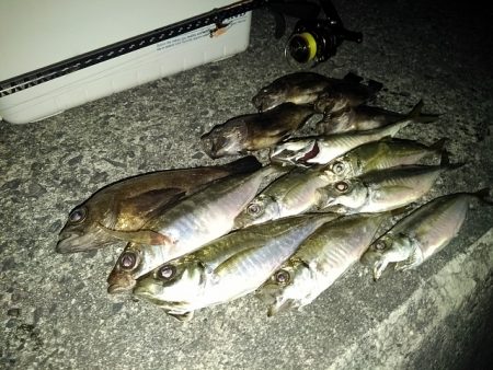 フロートゲーム～