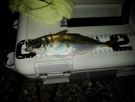 フロートゲーム