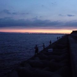 人工島は人がいっぱい