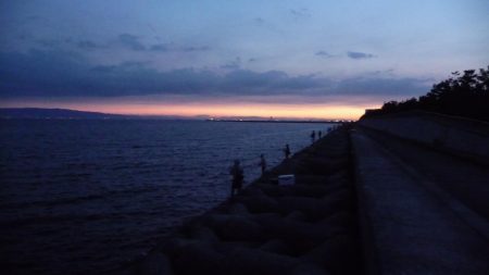 人工島は人がいっぱい