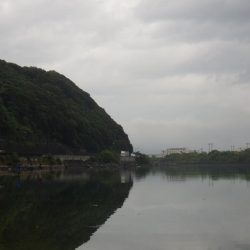 淡路島東部でライトロックフィッシング