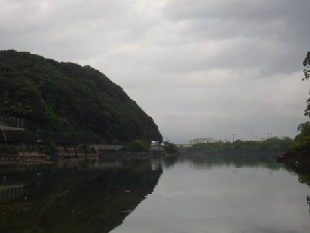 淡路島東部でライトロックフィッシング