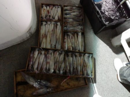 第二大福丸 釣果