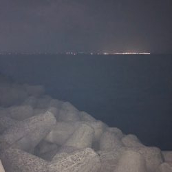 逃した魚は大きい