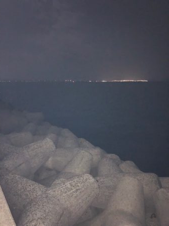 逃した魚は大きい