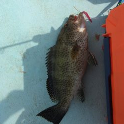 大里沖でタイラバ