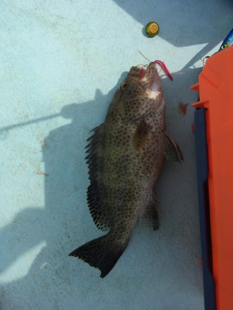 大里沖でタイラバ