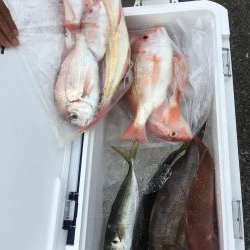 宍喰沖でタイラバ