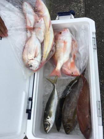 宍喰沖でタイラバ