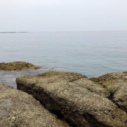 はじめての紀州釣り