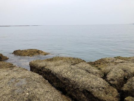 はじめての紀州釣り