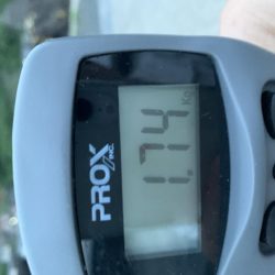 春烏賊終盤に2キロ越え